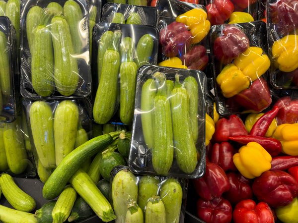 Entreprise de plastique : solutions écologiques pour vos emballages